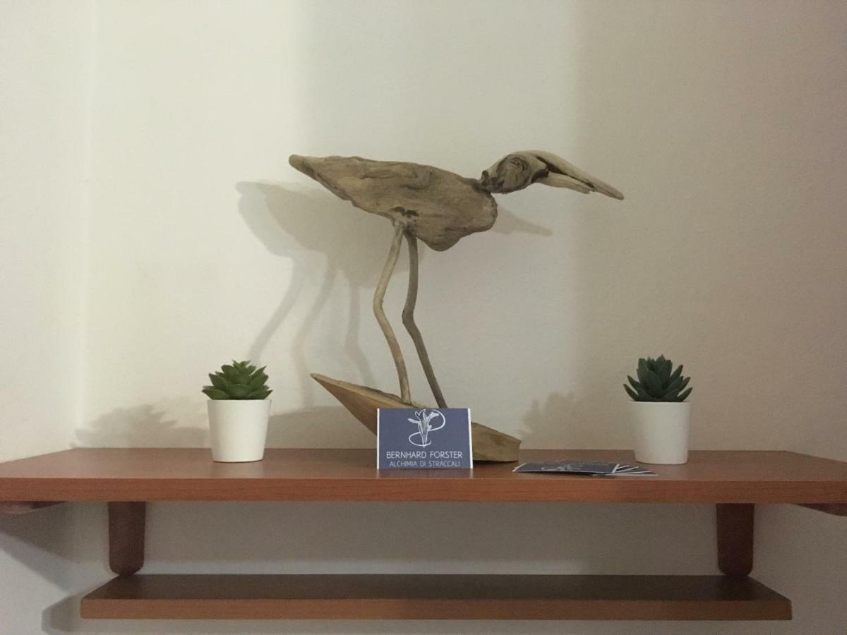 Il Mio Piccolo Angolo Di Mare Viareggio Exterior foto